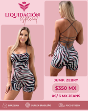 Jump. Zebry gray