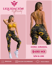 Conj. girasol