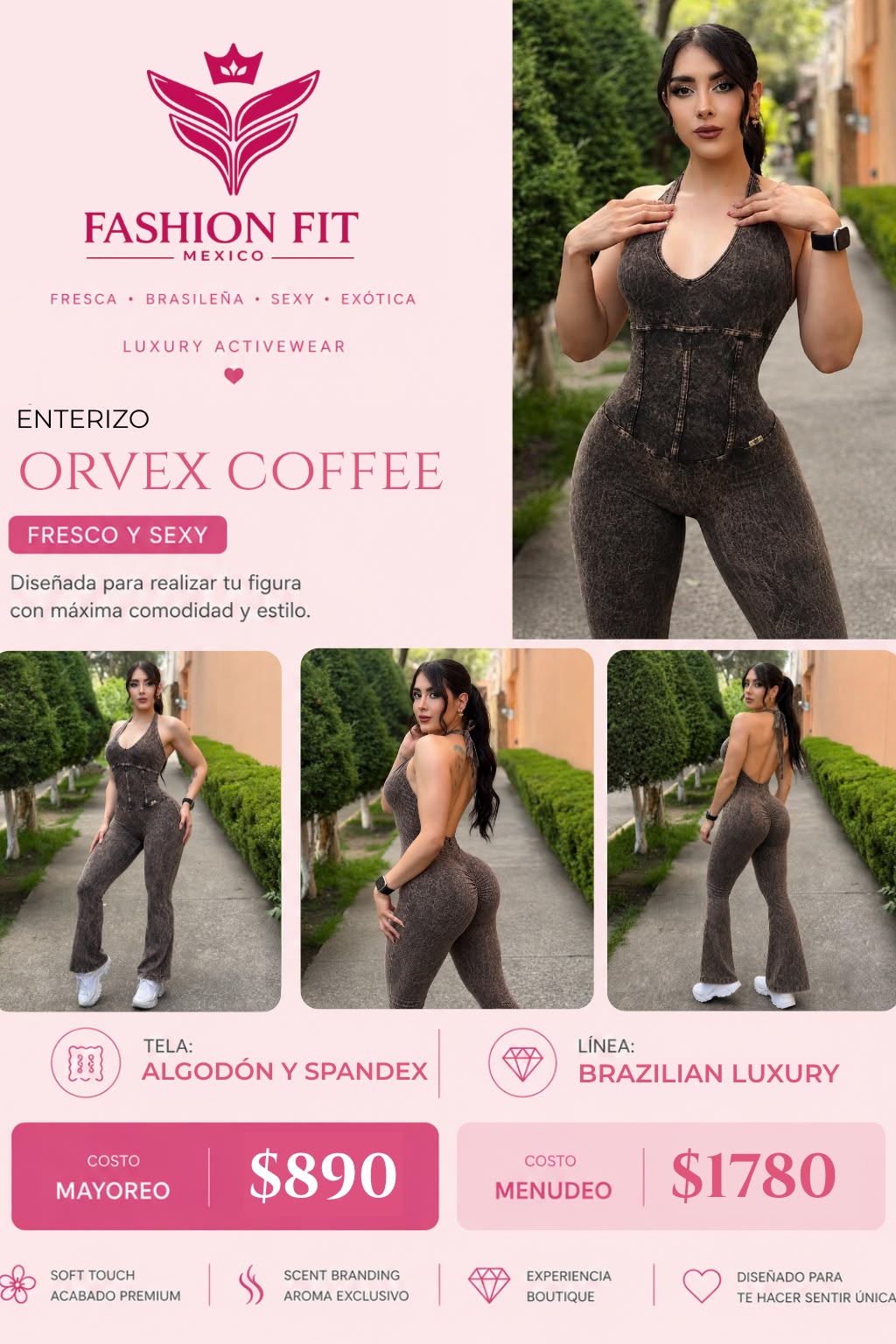 Mayoreo Orvex Coffee