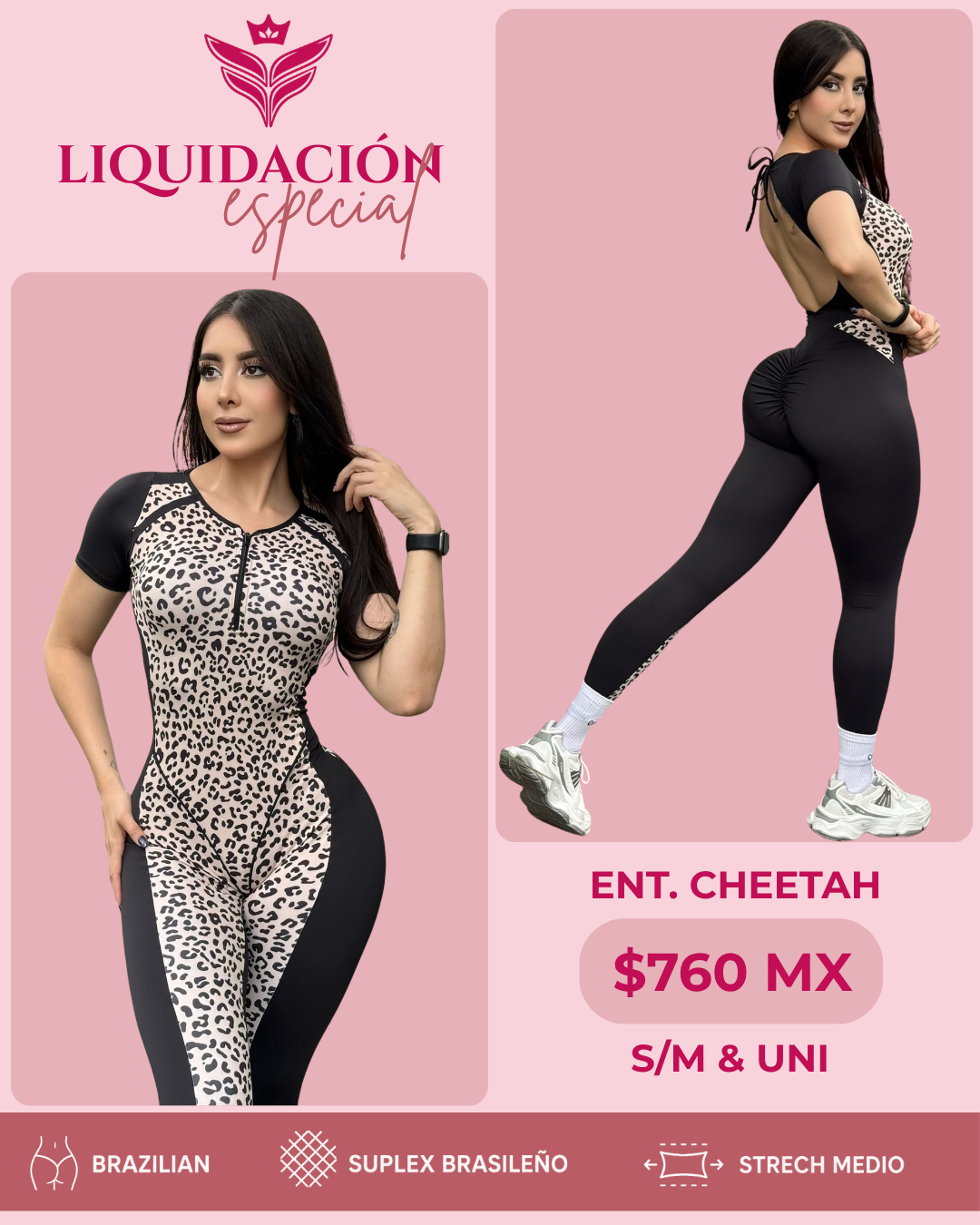 Ent. Cheetah