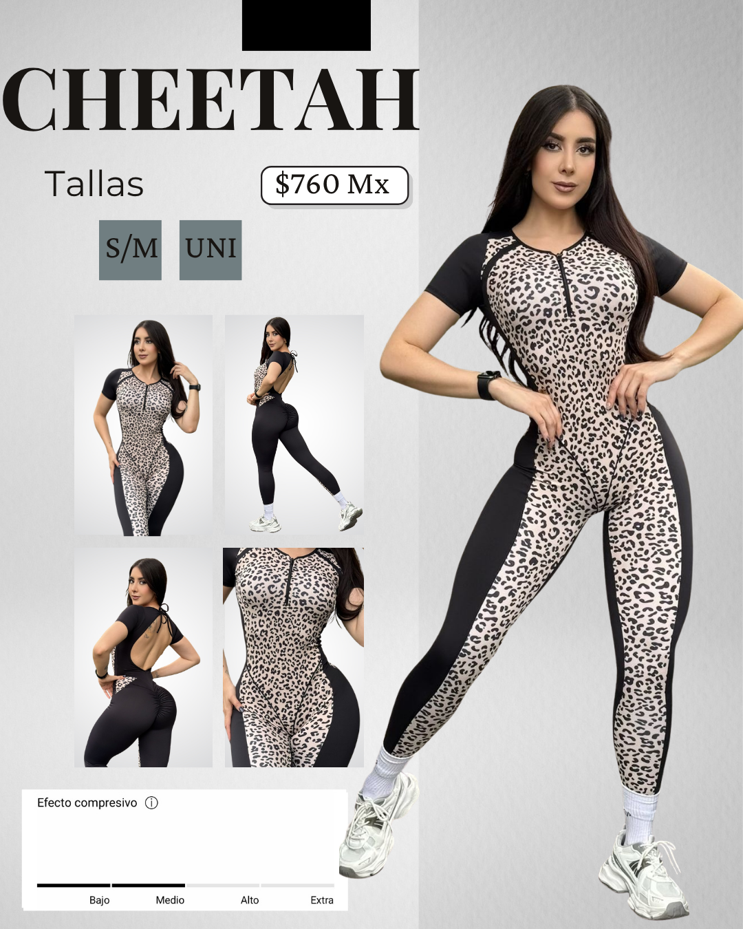 Ent. Cheetah