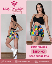 Conj. Picasso